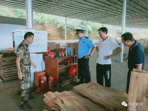 封開公安森林警察對木材加工廠進行安全檢查